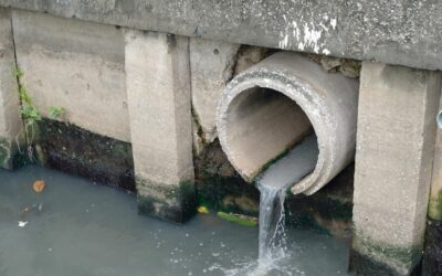 Pourquoi la réhabilitation de fosses septiques dans le Doubs est essentielle pour votre propriété ?